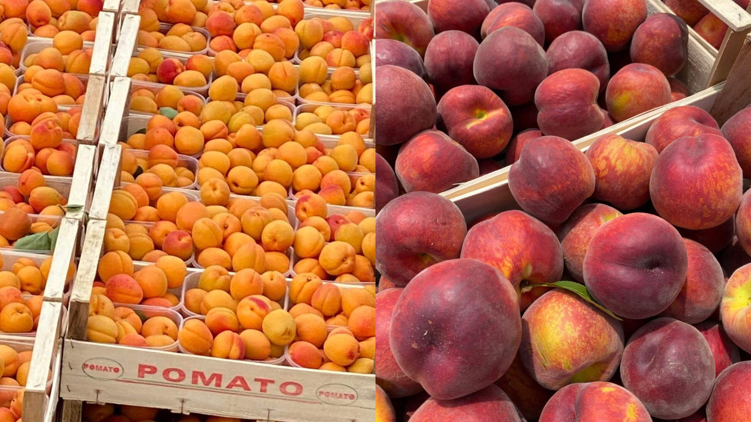 albicocche e pesche in cassetta